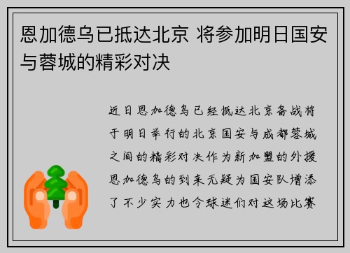 恩加德乌已抵达北京 将参加明日国安与蓉城的精彩对决