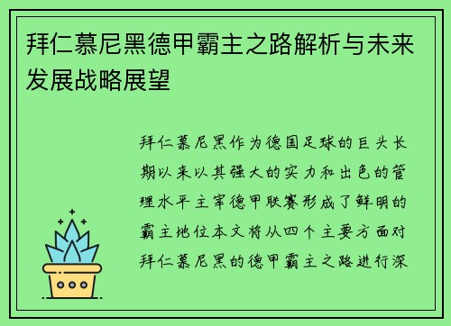 拜仁慕尼黑德甲霸主之路解析与未来发展战略展望