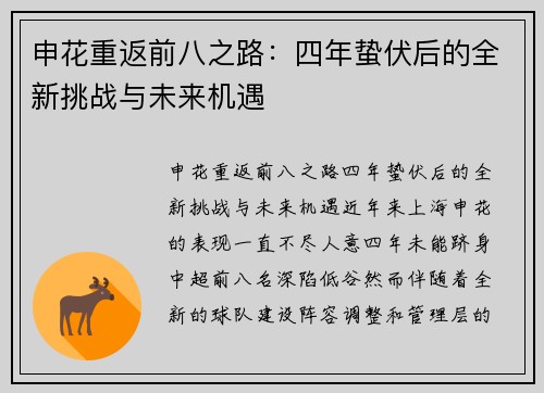 申花重返前八之路：四年蛰伏后的全新挑战与未来机遇